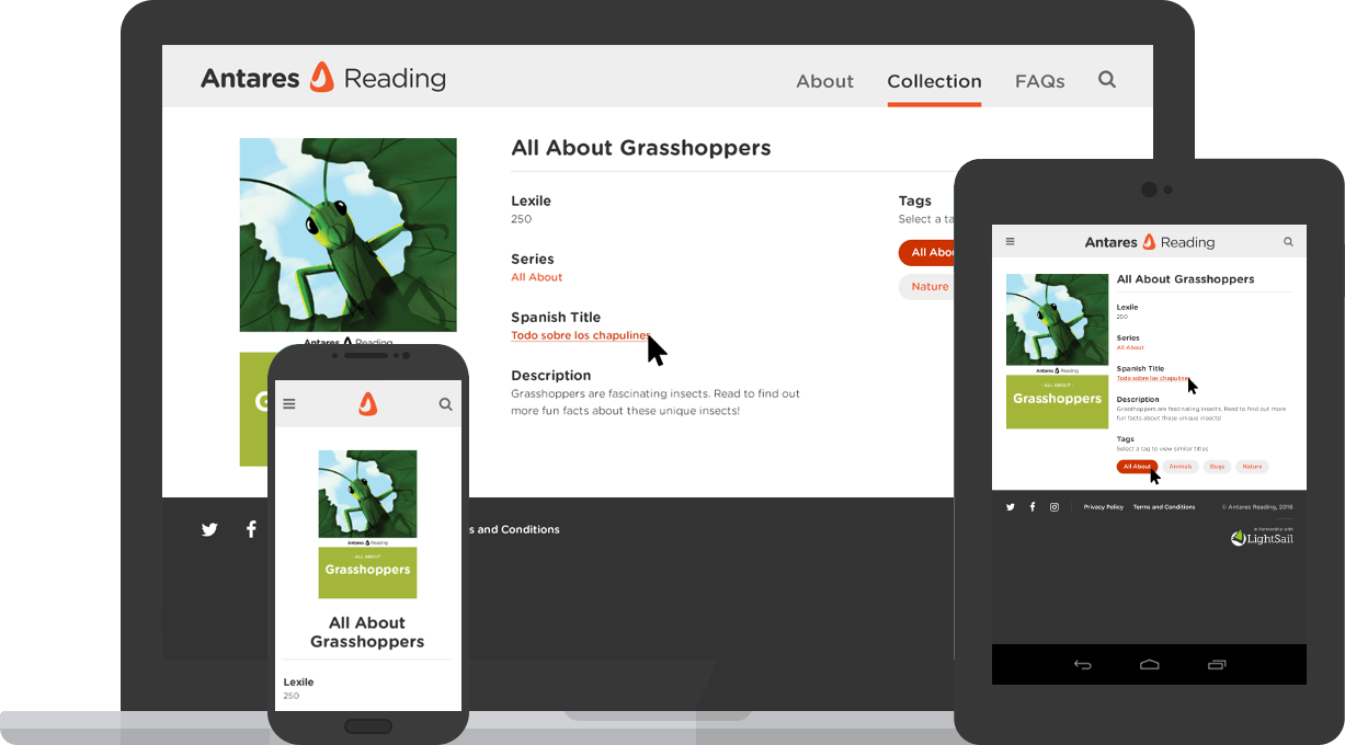 Antares Reading Website Text Detail