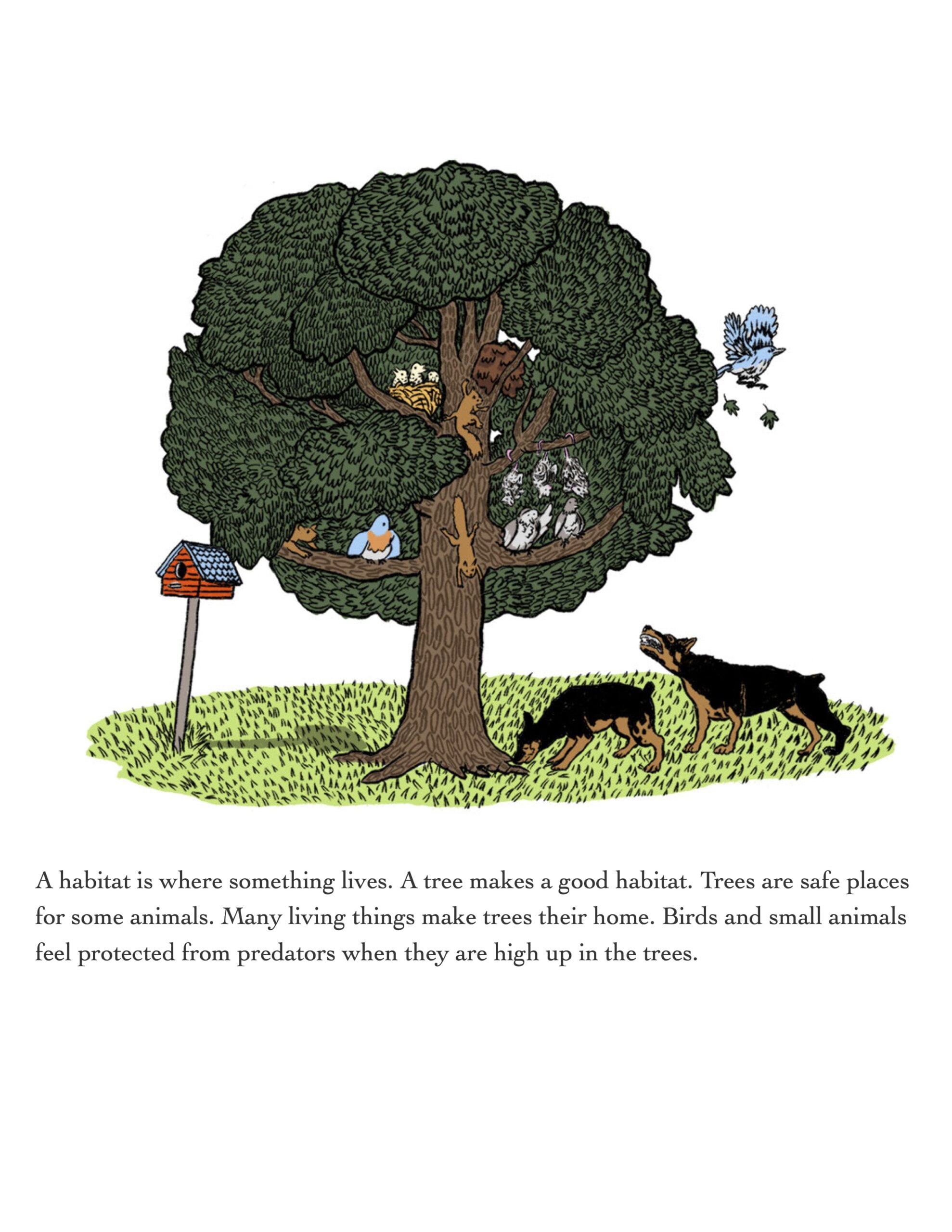 A Home in the Trees Interior Example