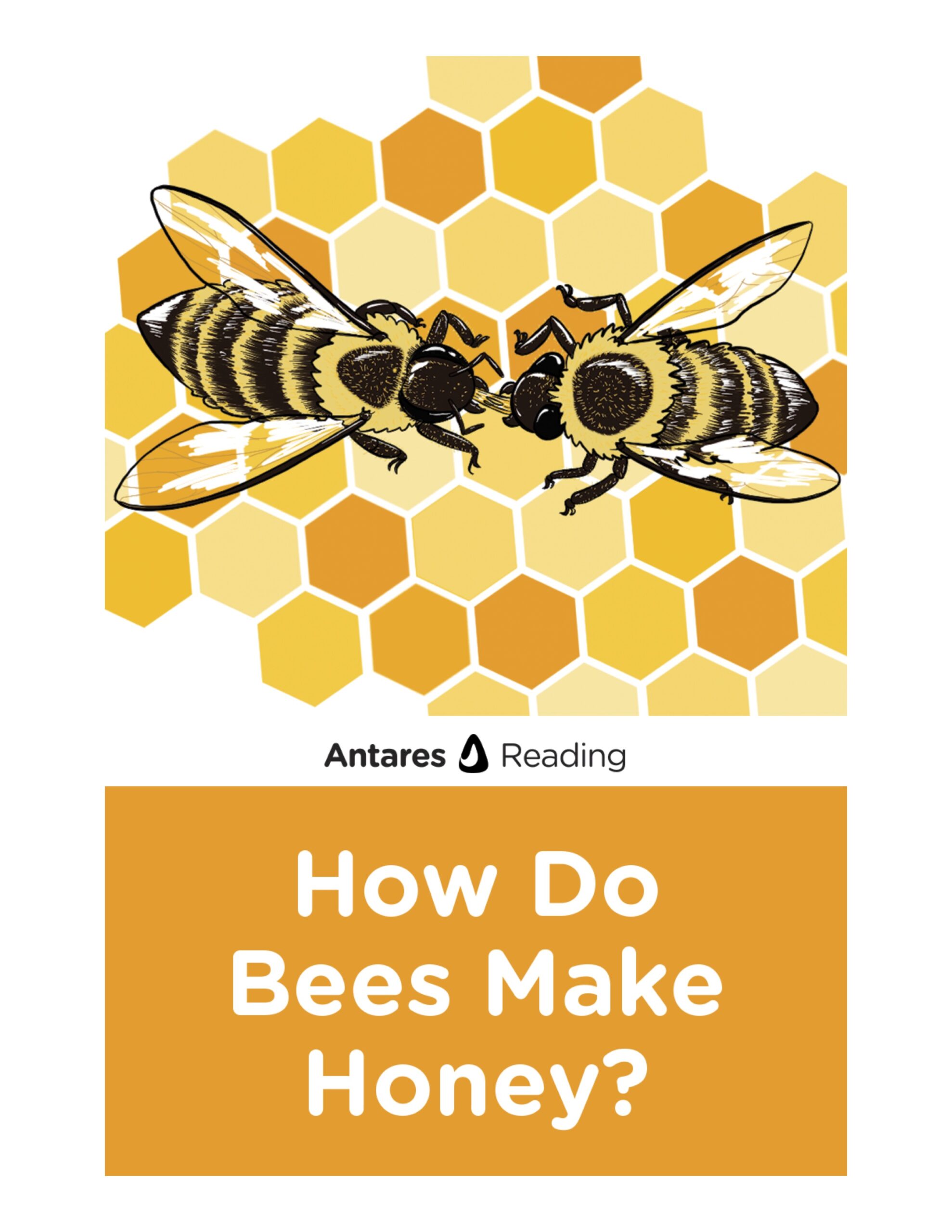 How Do Bees Make Honey Cover Example
